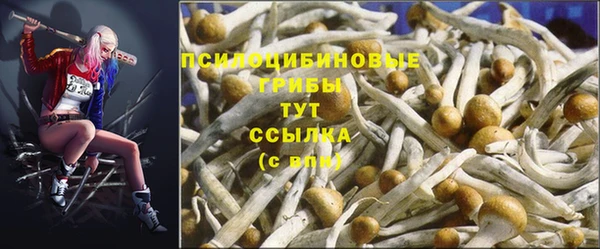спайс Балабаново