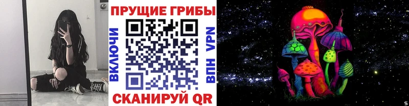 где купить наркоту  Уржум  Галлюциногенные грибы ЛСД 